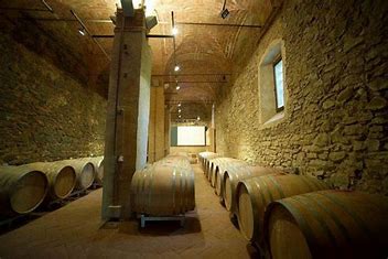 Visit to the production cellar and vineyards+ tasting Poggio Nibbiale - Image 3