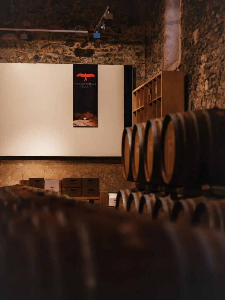 Visit to the production cellar and vineyards+ tasting Poggio Nibbiale - Image 4