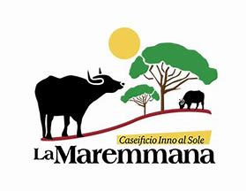 Visit with tasting La Maremmana - Image 3